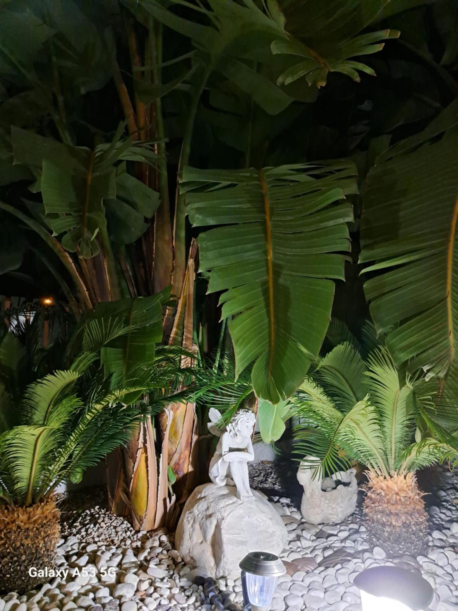 B&B Villa Antonio Loreto アグローポリ エクステリア 写真